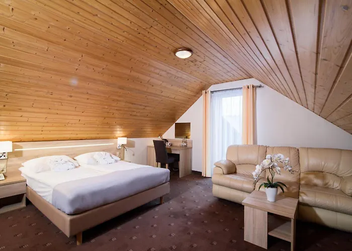 Отель Activia Ястшембя-Гура